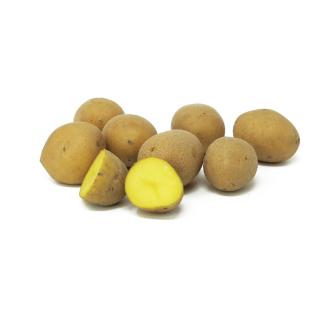 Kartoffeln festk. - 1kg - kleine Sortierung