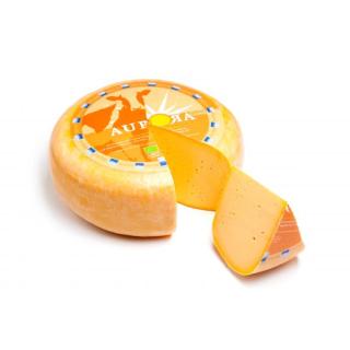 Gouda Gold Möhre