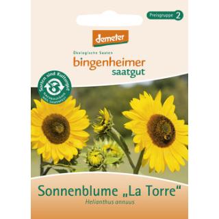 Sonnenblume La torre, Saatgut