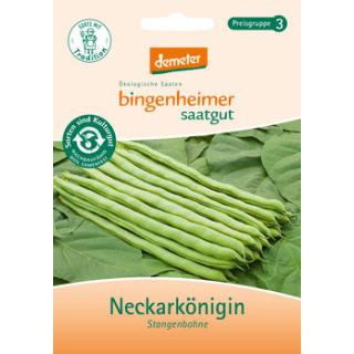 Stangenbohne Neckerkönigin, Saatgut