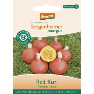 Kürbis Hokkaido Red Kuri, Saatgut