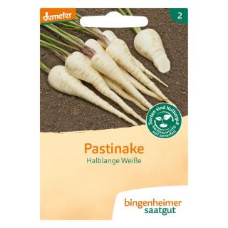 Pastinake halblang weiß,Saatgut