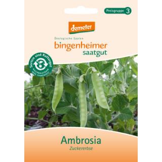 Zuckererbse Ambrosia, Saatgut