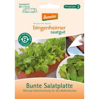 Salat Bunte-Mischung, Saatplatte