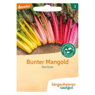 Mangold Rainbow, bunter, Saatgut