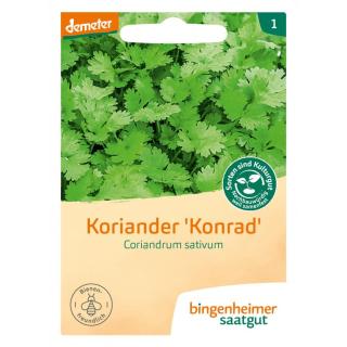 Koriander, Saatgut