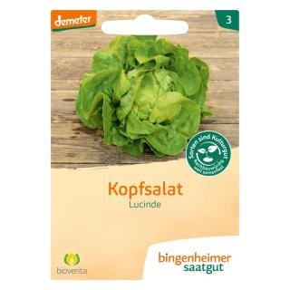 Kopfsalat - Lucinde, Saatgut