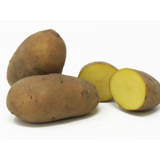 Kartoffeln | Produkte | Gemüsekiste - bio. vielfalt.