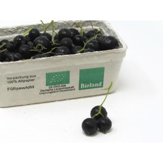 Johannisbeeren schwarz- 250g