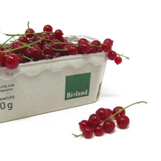 Johannisbeeren rot- 250g