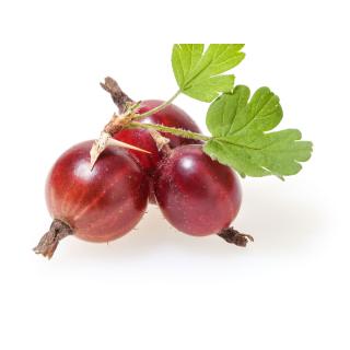 Stachelbeeren rot - 250g