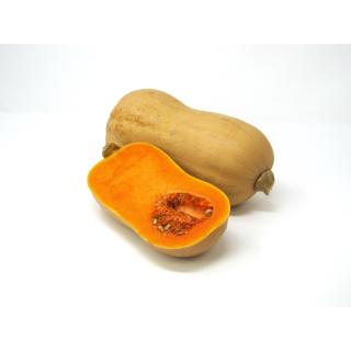 Kürbis - Butternut