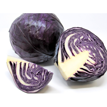 Rotkohl groß, ca. 1,45kg