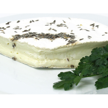 Ziegenbrie m. Lavendel