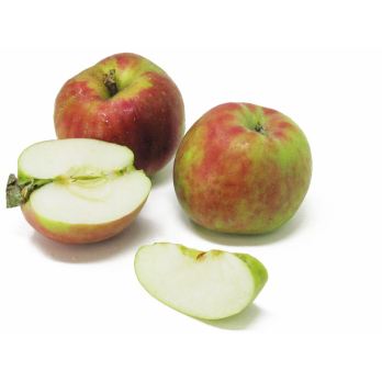 Äpfel - "Ribston Pepping"