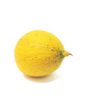 Honigmelone "Thrakis" ca. 1,5kg