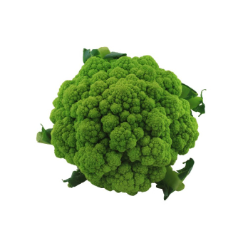 Blumenkohl grün