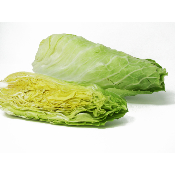 Salat, Zuckerhut