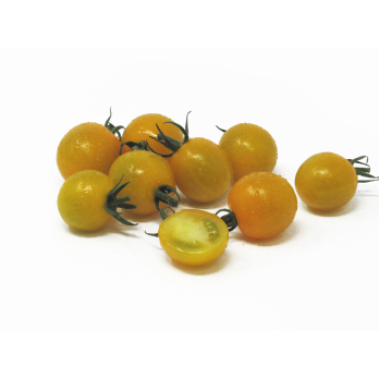 Tomaten - Cherrystrauchtomaten gelb
