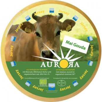 Maigouda - Jersey