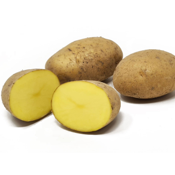 Otolia halbfest. - 10kg