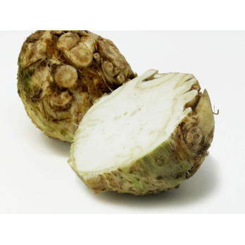 Sellerie - Knollensellerie klein