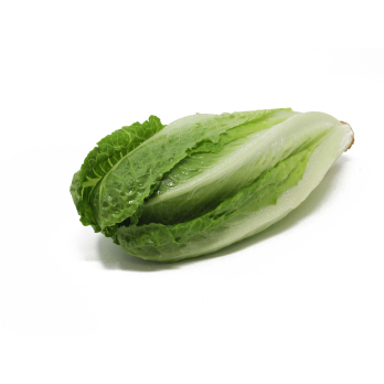Salat, Romana