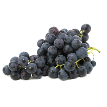 Trauben - blau "Black Magic", kernarm