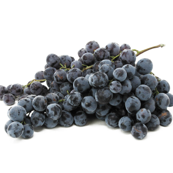 Trauben - Muscat blau