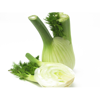 Fenchel