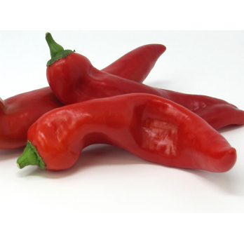 Paprika spitz rot