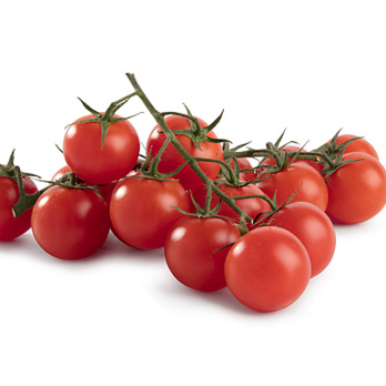 Tomaten - Cherry rot lose