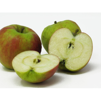 Äpfel - "Holsteiner Cox"