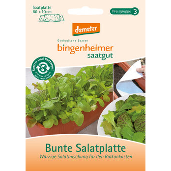 Salat Bunte-Mischung, Saatplatte