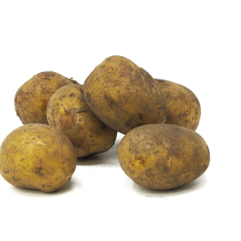 Belana festk. - 2,5kg