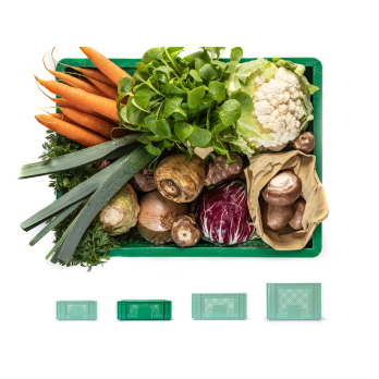 Regionalkiste Gemüse mittel