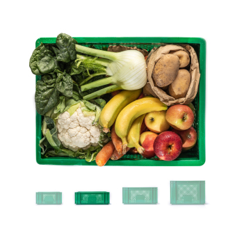 Kleinkindkiste mittel