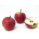 Äpfel - "Prinz Albert" - 5kg Gebinde