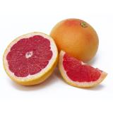 Grapefruit rot Star Ruby