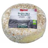 Brebis des Basques