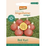 Kürbis Hokkaido Red Kuri, Saatgut
