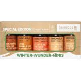 Geschenkset Winter Wunder Minis