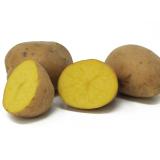 Kartoffeln festk. Übergröße - 10kg