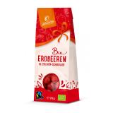 Erdbeeren in Zitronen-Schokolade