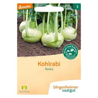 Kohlrabi weiß Rasko, Saatgut