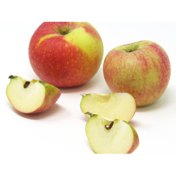 Äpfel - "Alkmene" -  2,5 kg Kiste
