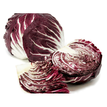 Radicchio länglich, oval