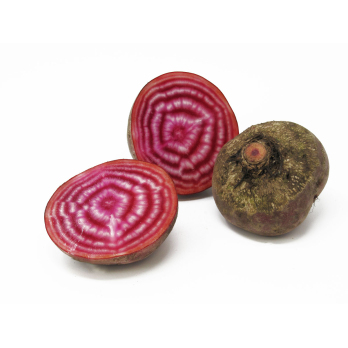 Rote Bete rot-weiß geringelt Bunde