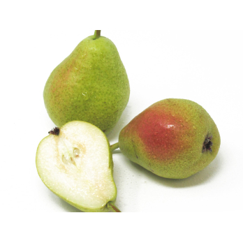 Birne - "Guyot" 2,5kg-Kiste
