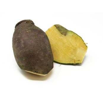 Steckrübe